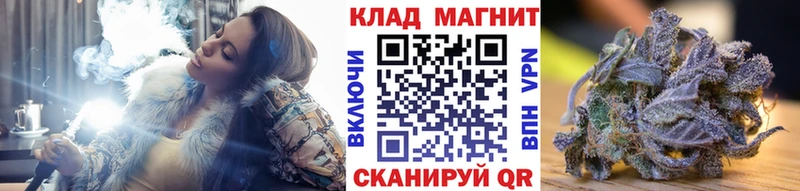 Где купить Новая Ладога Псилоцибиновые грибы  ГЕРОИН  МЕФ  COCAIN  Alpha PVP 