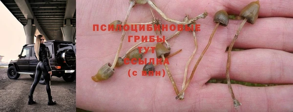PSILOCYBIN Алексин