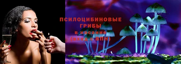 PSILOCYBIN Алексин