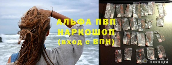 ГАЛЛЮЦИНОГЕННЫЕ ГРИБЫ Пересвет