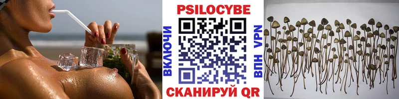 ОМГ ОМГ вход  Новая Ладога  Псилоцибиновые грибы Psilocybine cubensis 